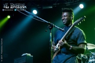 Animals As Leaders