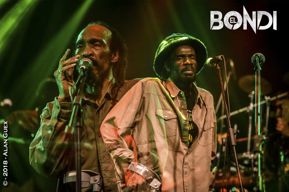 Cobertura fotogr&aacute;fica: Israel Vibration